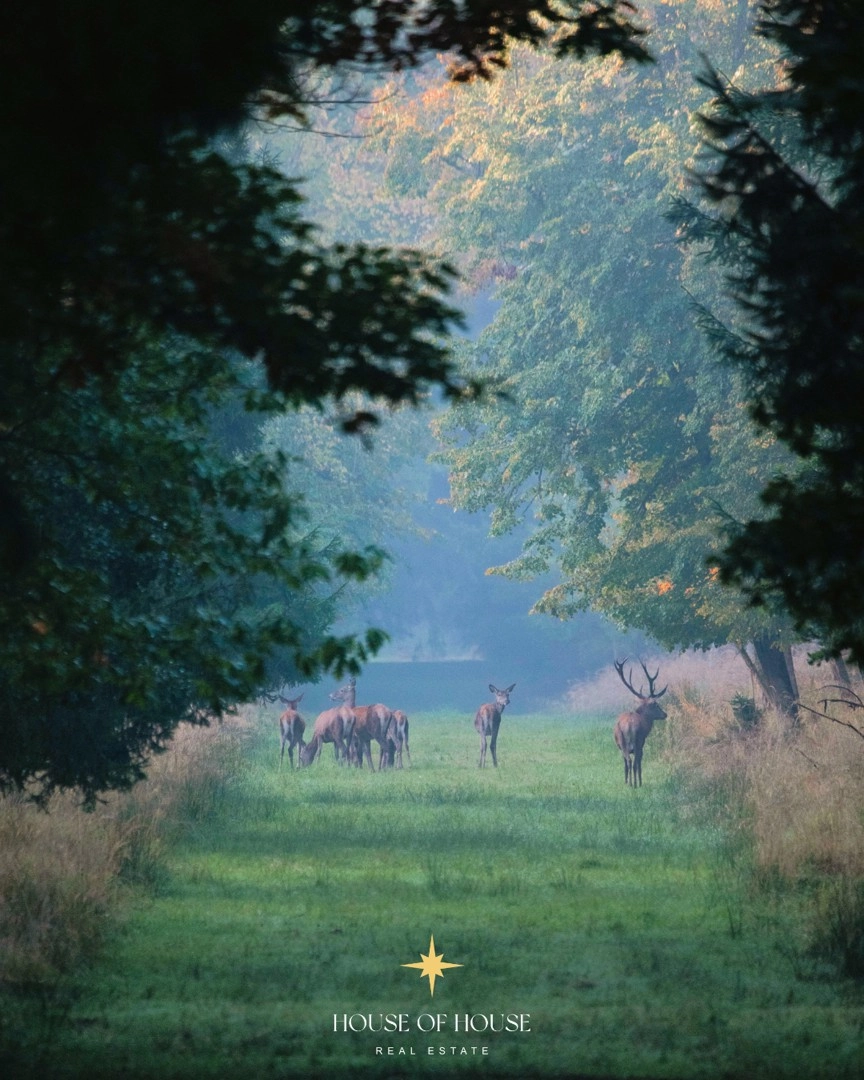 Enchanting farm estate surrounding a 1.2-hectare nature reserve